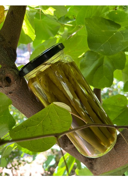 Kuşkonmaz Konserve 500CC