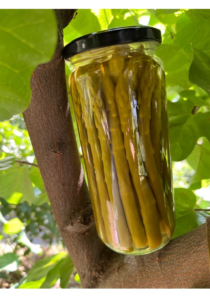 Kuşkonmaz Konserve 500CC