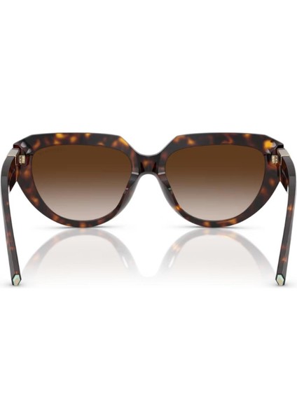 Tıffany&co. Tf 4238U 80153B 55 Güneş Gözlüğü modelleri