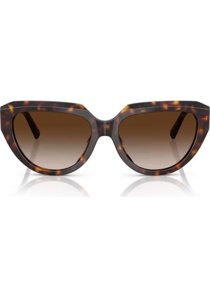Tıffany&co. Tf 4238U 80153B 55 Güneş Gözlüğü fırsatları