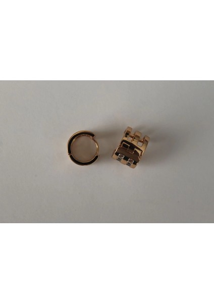 Vıp Çelik Baget Taş Detaylı Kalın Halka Küpe fırsatları