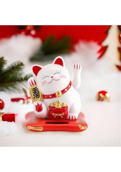 Şanslı Kedi fiyatları