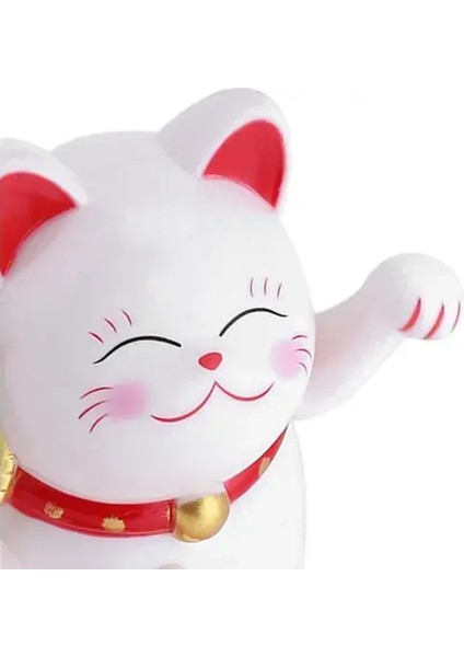 Şanslı Kedi fırsatları