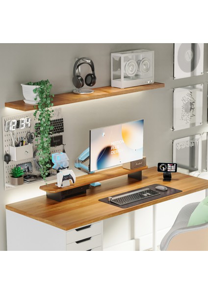 F80 17"-30" Amortisörlü 2-9 kg Monitör Standı