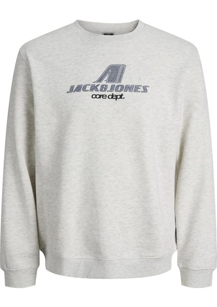 Erkek Gri Sweat 12282791