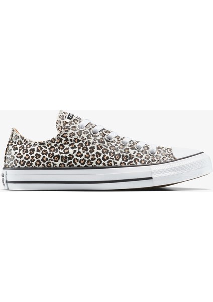 Chuck Taylor All Star Leopard Kadın Siyah Sneaker