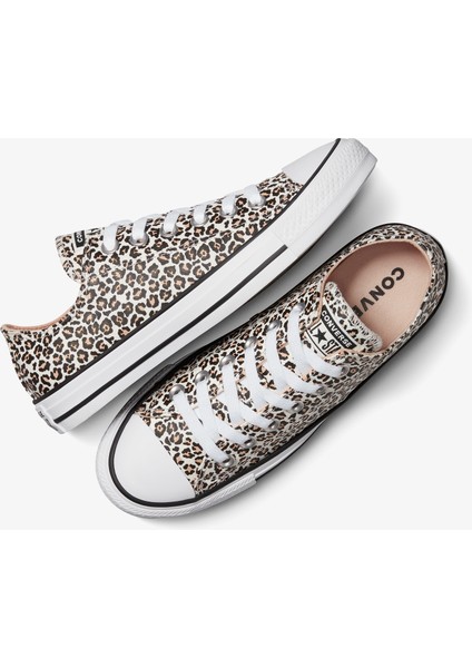 Chuck Taylor All Star Leopard Kadın Siyah Sneaker