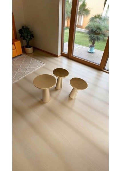 Ahşap Mantar Yan Sehpa Seti – 3’lü Altın Varak Renk Sehpa Takımı -Wooden Coffee Table fiyatları