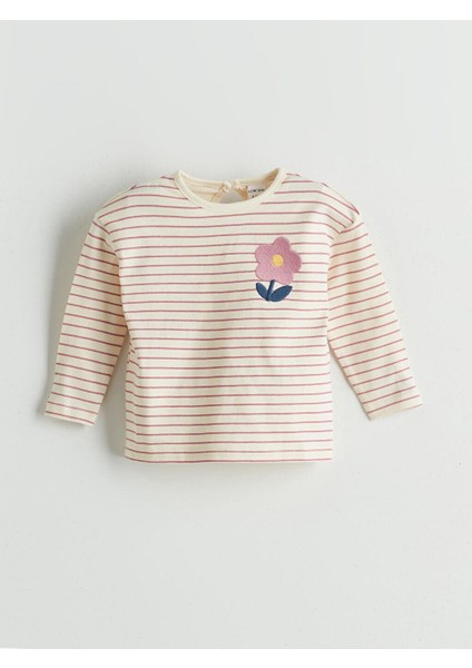 Bisiklet Yaka Kız Bebek Bluz ve Tayt 2'li (W5) fiyatları