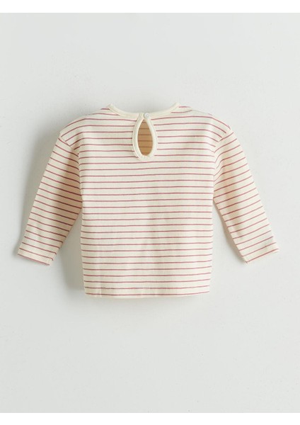 Bisiklet Yaka Kız Bebek Bluz ve Tayt 2'li (W5) modelleri