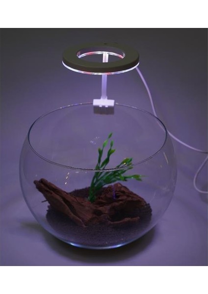 Orionled Goosneck Fanus & Nano Akvaryum LED Aydınlatma 7W fırsatları