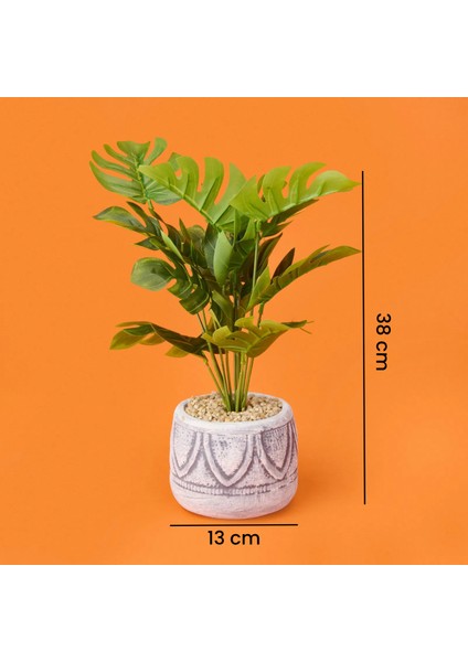 Beyaz Saksıda Deve Tabanı - Renkli - 13X38 cm fırsatları