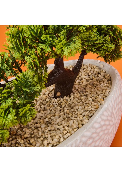 Desenli Elips Saksıda Bonsai - Renkli - 24X33 cm fırsatları