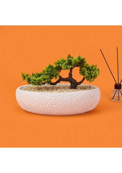 Desenli Elips Saksıda Bonsai - Renkli - 24X33 cm indirimleri