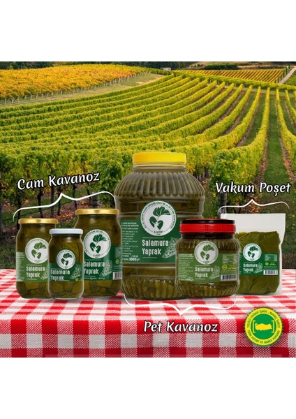 Salamura Yaprak 3 Kg, Alaşehir Coğrafi Işaretli Asma Yaprağı indirimleri