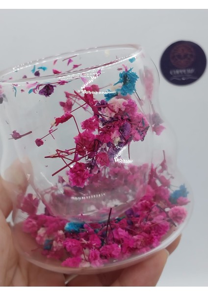 Isıya Dayanıklı Çift Cidarlı Canlı Kurutulmuş Çiçekli Cam Kahve Kupası indirimleri
