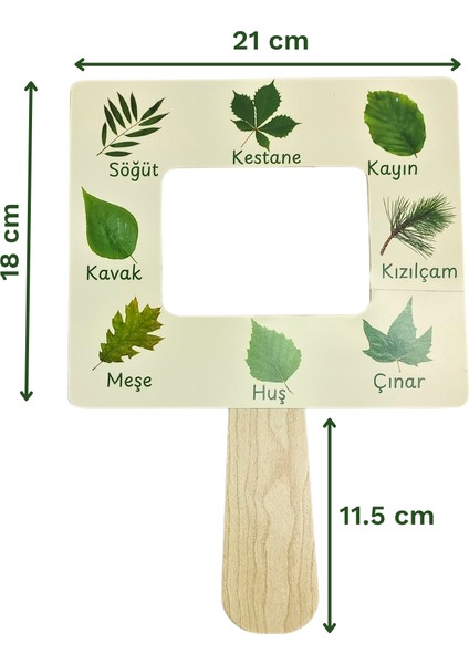 Yaprak Türleri Tanıma Seti – Çocuklar Için Yaprak Öğrenme Aktivitesi | Doğa Gözlem Etkinliği | Çocuklar Için Ahşap Panolu Yaprak Öğrenme Oyunu | Montessori Doğa Etkinliği indirimleri
