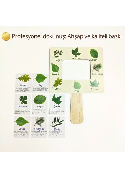 Yaprak Türleri Tanıma Seti – Çocuklar Için Yaprak Öğrenme Aktivitesi | Doğa Gözlem Etkinliği | Çocuklar Için Ahşap Panolu Yaprak Öğrenme Oyunu | Montessori Doğa Etkinliği