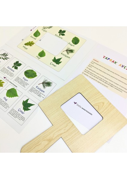 Yaprak Türleri Tanıma Seti – Çocuklar Için Yaprak Öğrenme Aktivitesi | Doğa Gözlem Etkinliği | Çocuklar Için Ahşap Panolu Yaprak Öğrenme Oyunu | Montessori Doğa Etkinliği