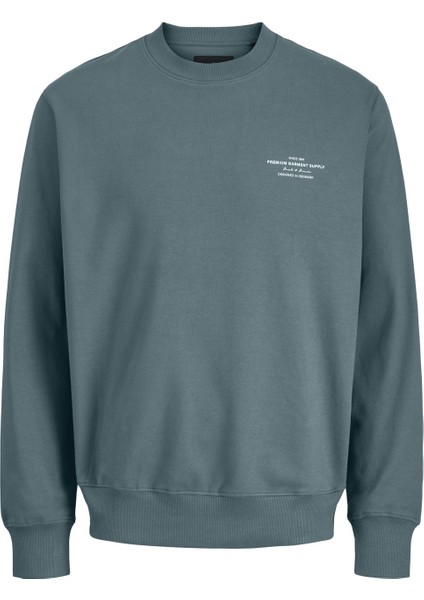 Erkek Mavi Sweat 12261386 fiyatları