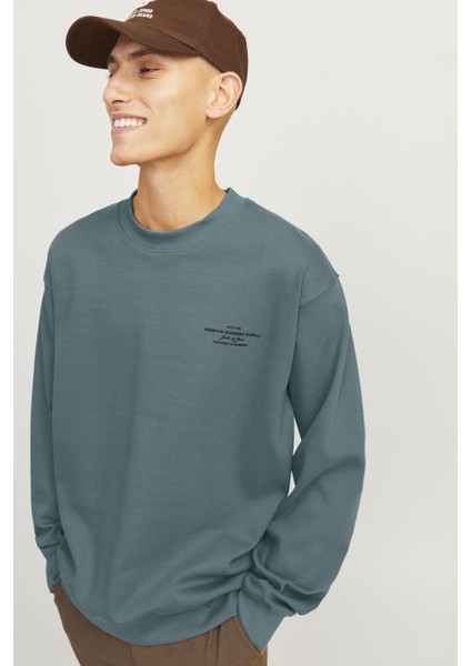 Erkek Mavi Sweat 12261386 modelleri