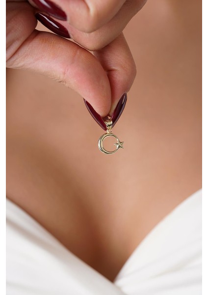 14 Ayar Altın Mini Ay Yıldız Kolye Ucu fiyatları