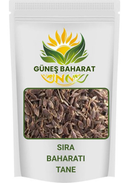 Güneş Sıra ı