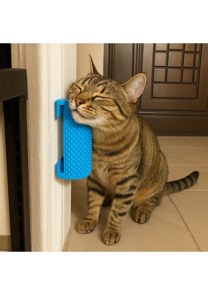 Masajlı Döner Kedi Oyuncağı