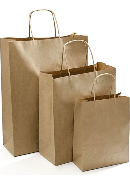 Kağıt Çanta Burgu Saplı 18X24X8CM(KÖRÜK) - Kraft 250 Adet modelleri