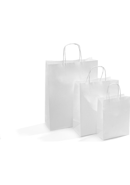 Kağıt Çanta Burgu Saplı 18X24X8CM(KÖRÜK) - Beyaz 25 Adet modelleri