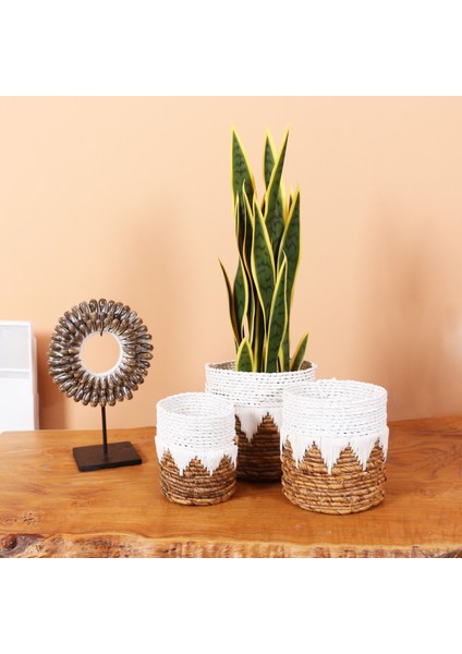 Mylamp Didim Doğal Abaka 3 Lü Set Saksılık & Saklama Düzenleme