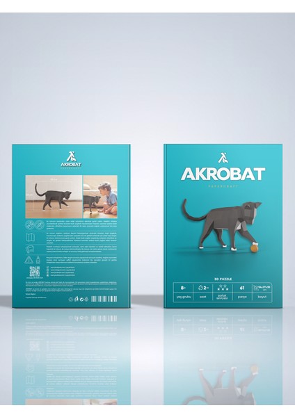 3D Kedi Kağıt Maket | Duvar Süsü ve Hediye | Çocuklar Için Eğitici Kendin Yap Aktivite