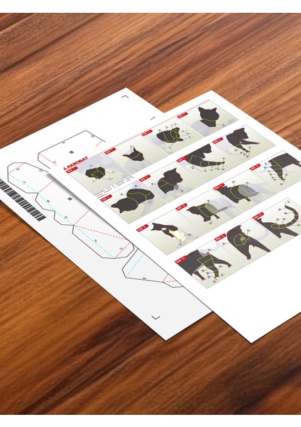 3D Kedi Kağıt Maket | Duvar Süsü ve Hediye | Çocuklar Için Eğitici Kendin Yap Aktivite