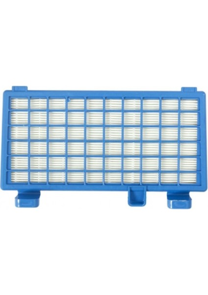 Hgnm E Trading Rowenta Ro 6221 X-Trem Power Cyclonic Uyumlu Ithal Hepa Filtre