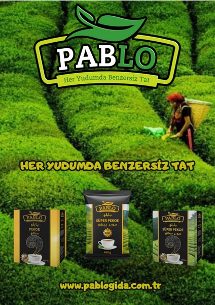 Super Pekoe Ithal Seylan Sri Lanka Ceylon Kaçak Siyah Çayı 100x2gr modelleri