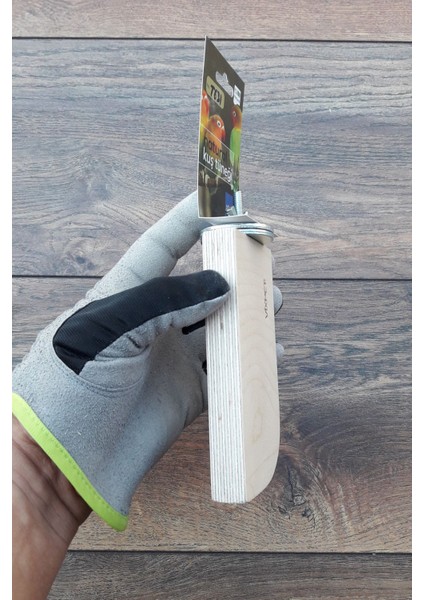 Venty 12.5 cm Stand Papağan Tüneği | Ahşap Stand | Sultan, Lori, Monk, Muhabbet, Forpus, Sevda, Cennet - T631 modelleri