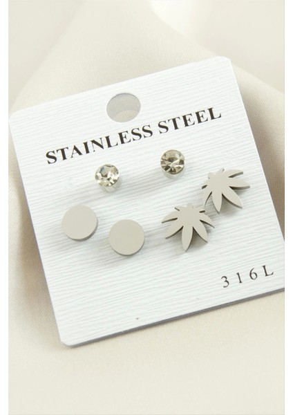 6 Adet Yaprak Taşlı Çelik Küpe