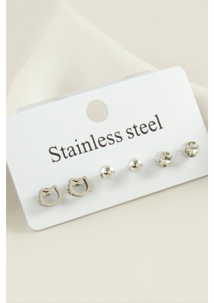 6 Adet Kedi Taşlı Çelik Küpe