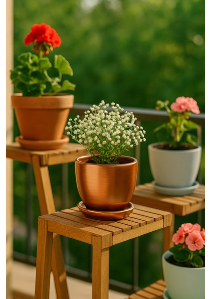 Tabaklı Bronz Çömlek Saksı 19X19 cm