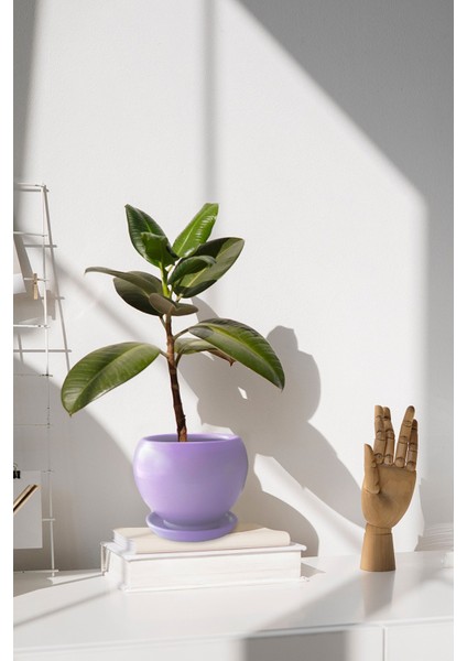 Tabaklı Lila Tombul Çömlek Saksı 18x17 Cm