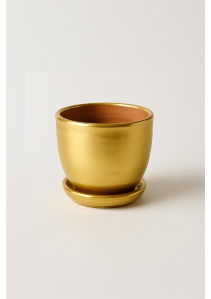 Tabaklı Altın Çömlek Saksı 19X19 cm fiyatları