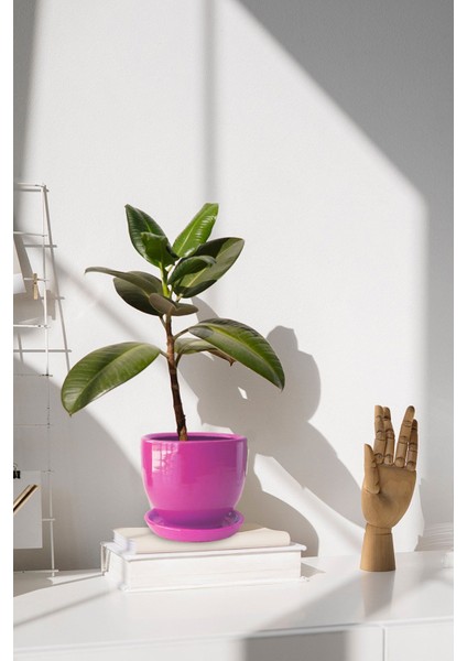 Tabaklı Pembe U Çömlek Saksı 16x16 Cm