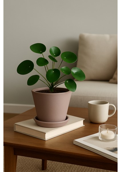 Tabaklı Vizon Konik Çömlek Saksı 14x15 Cm