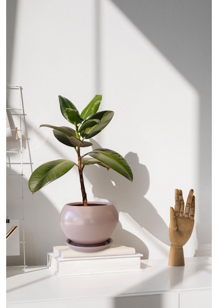 Tabaklı Vizon Tombul Çömlek Saksı 18X17 cm