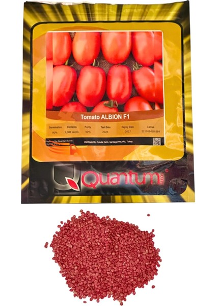 Tomato Albıon F1 Seeds/ HİBRİT Domates Tohumu modelleri