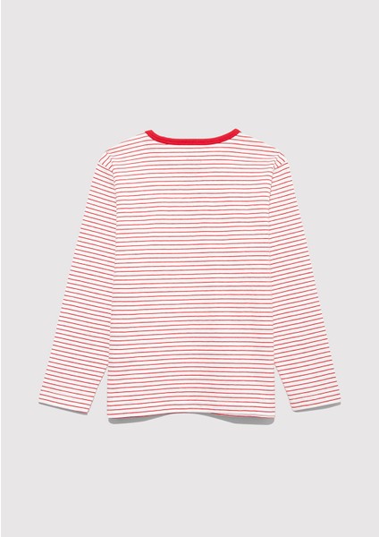 Uzun Kollu Çizgili Tişört 7610357-90989 fiyatları