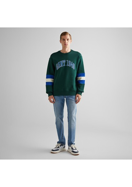 Erkek Yeşil Relaxed Fit Bisiklet Yaka Renk Bloklu Sweatshirt modelleri