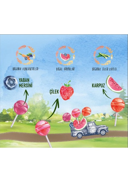 Mom C Vitaminli Organik Lolipop fırsatları