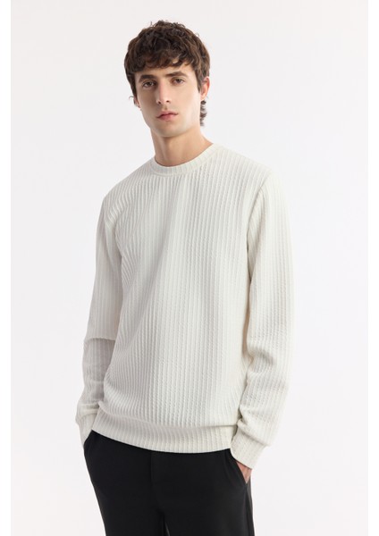 Erkek Ekru Bisiklet Yaka Jakarlı Elastan Sweatshirt A51y1230