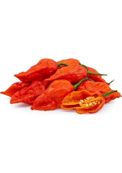 Dünyanın En Acı Biberi Bhut Jolokia Biber Tohumu